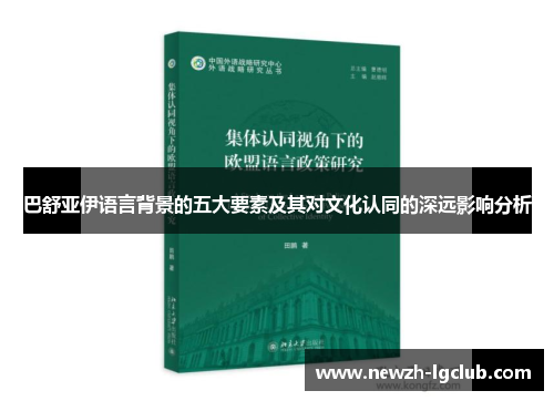 巴舒亚伊语言背景的五大要素及其对文化认同的深远影响分析