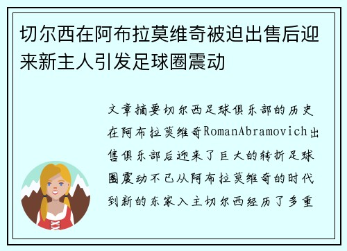切尔西在阿布拉莫维奇被迫出售后迎来新主人引发足球圈震动